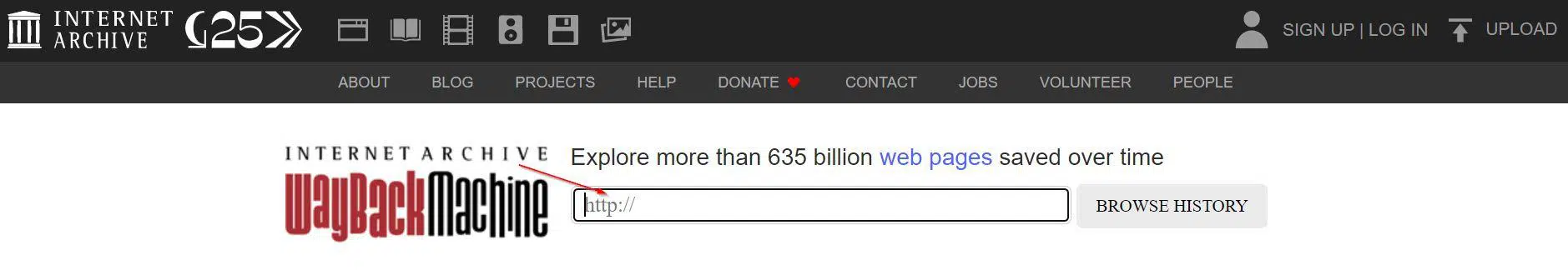 wayback machine for expired domain history check