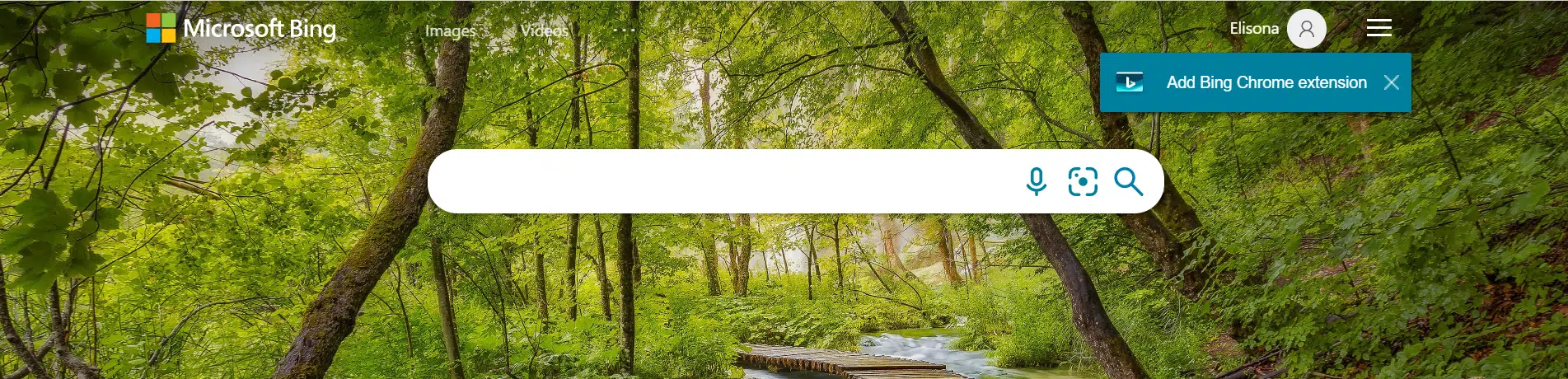 Microsoft Bing